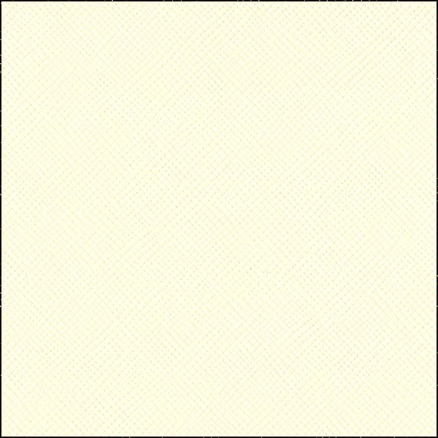 Avalanche – 12x12 Bright White Cardstock Bazzill 80 lb Scrapbook Paper 25 Pack