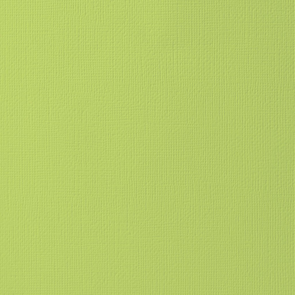 Foil Cardstock Textured Green 12 x 12 Sheets Bulk Pack of 25