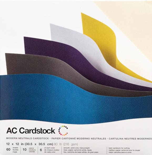 American Crafts 12 x 12 in. Cardstock Duotone Glitter Charcoal