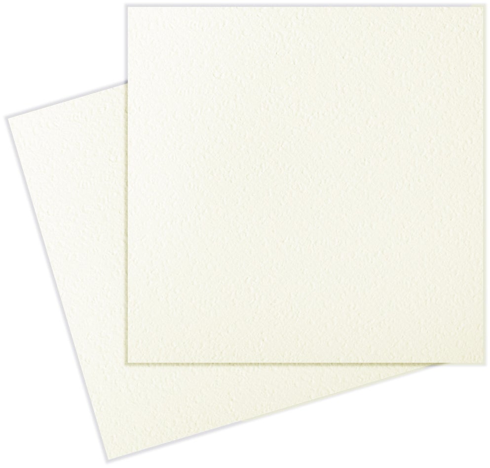 ASTROBRIGHTS COMPLETE VARIETY PACK - 12x12 Cardstock - Neenah – The 12x12  Cardstock Shop