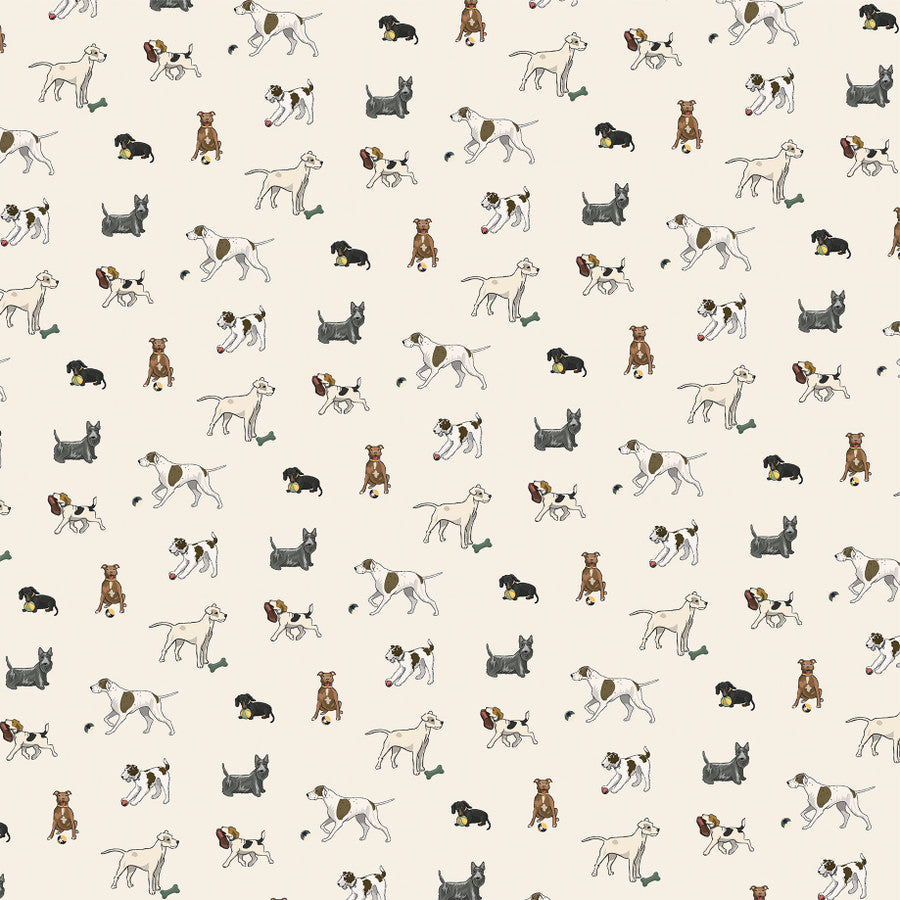 PLAY FETCH - 12x12 Double-Sided Patterned Paper