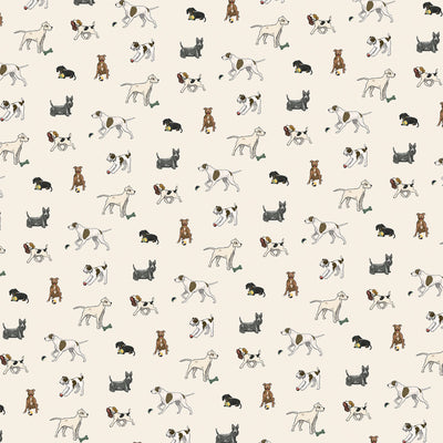 PLAY FETCH - 12x12 Double-Sided Patterned Paper