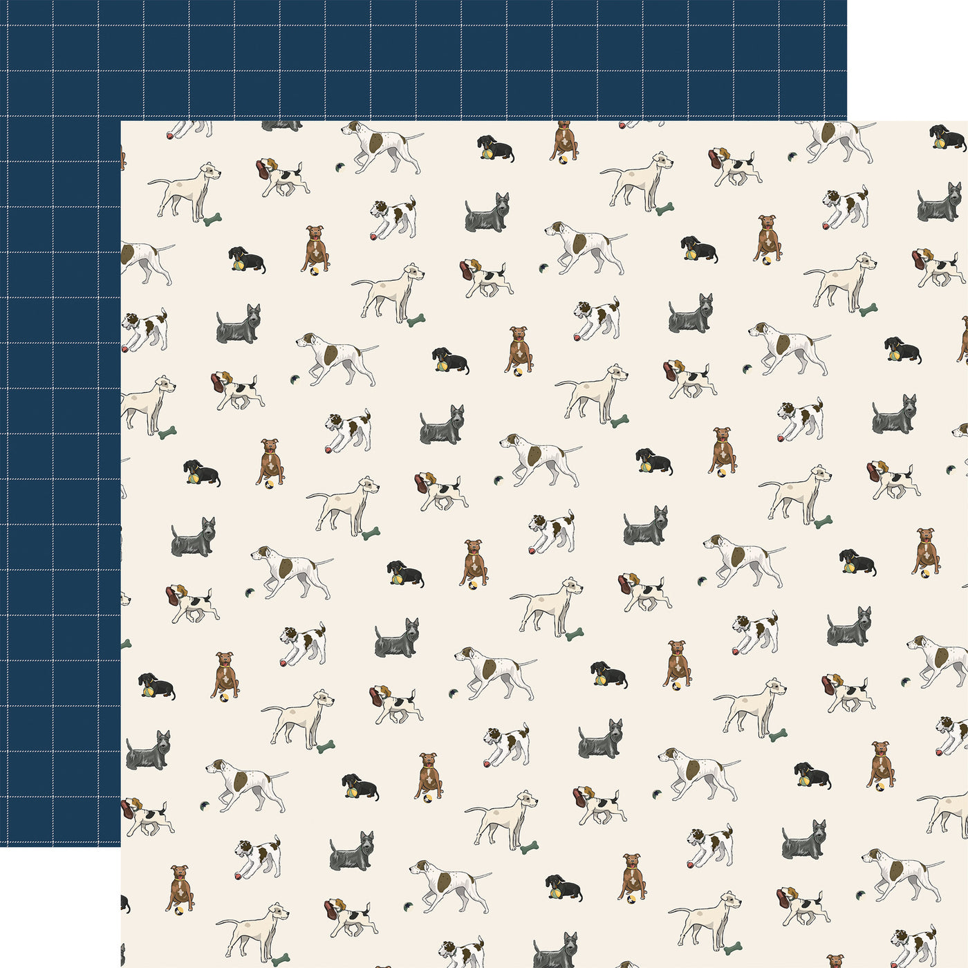 12x12 double-sided patterned paper (Side A - different breeds of dogs playing fetch all over on an off-white background, Side B - navy blue and white plaid) - Carta Bella.