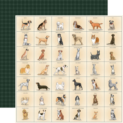 BEST IN SHOW 12x12 Collection Kit - Carta Bella