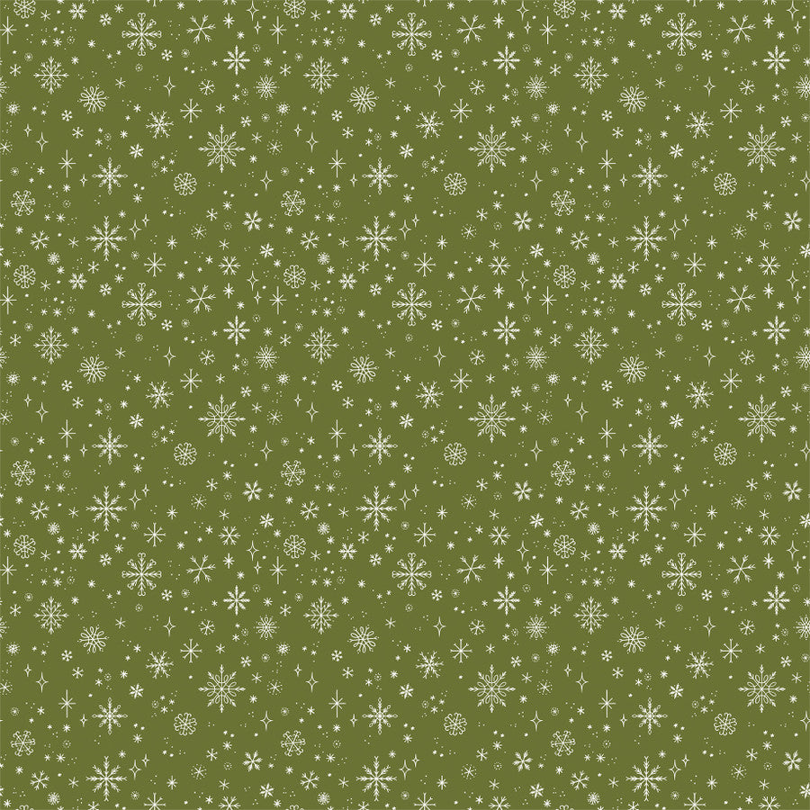 HOLIDAY GREENERY - 12x12 Double-Sided Patterned Paper - Echo Park