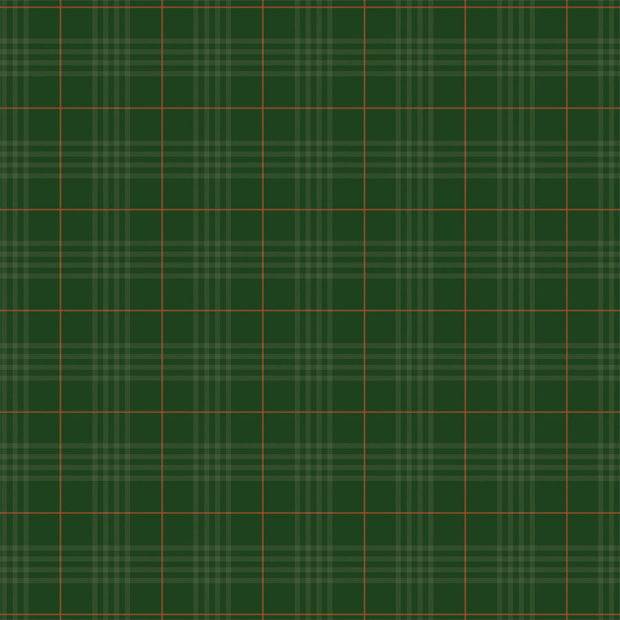 CHRISTMAS TIME TARTAN - 12x12 Double-Sided Patterned Paper - Echo Park