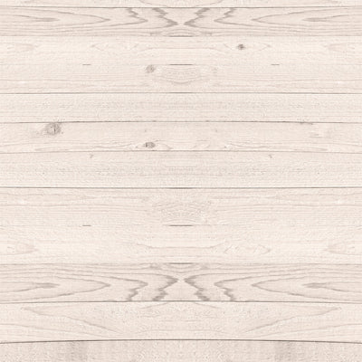 PALE WOOD GRAIN - 12x12 Double-Sided Patterned Paper - Echo Park