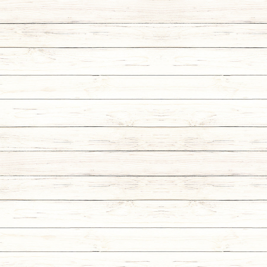 IVORY WOOD GRAIN - 12x12 Double-Sided Patterned Paper - Echo Park