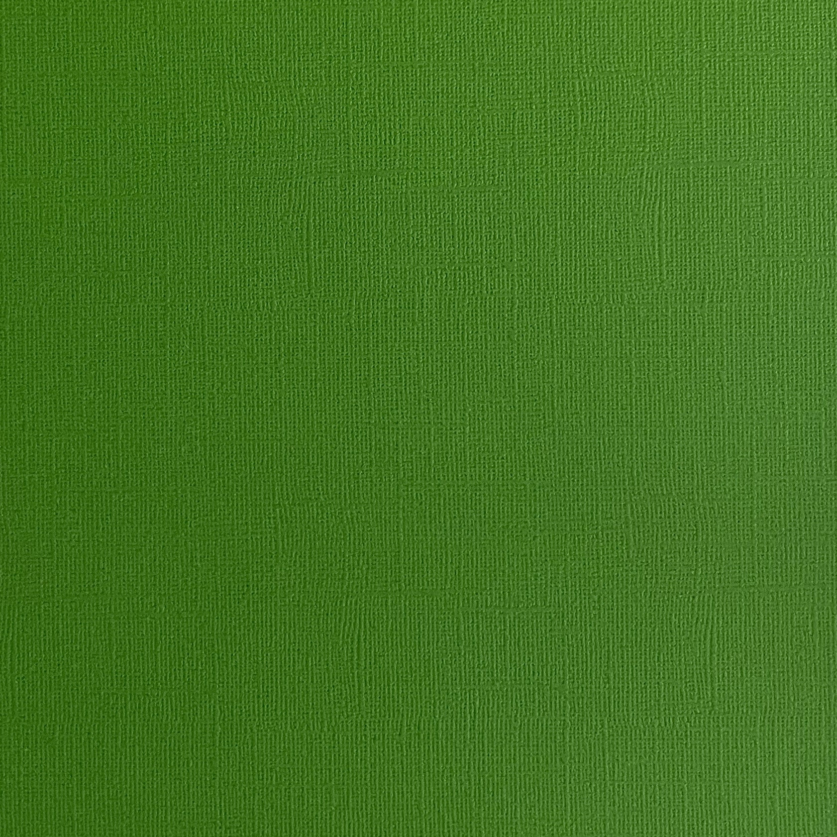 Dill Pickle 12x12 Textured Dark Green Cardstock Encore Paper The 12x12 Cardstock Shop 