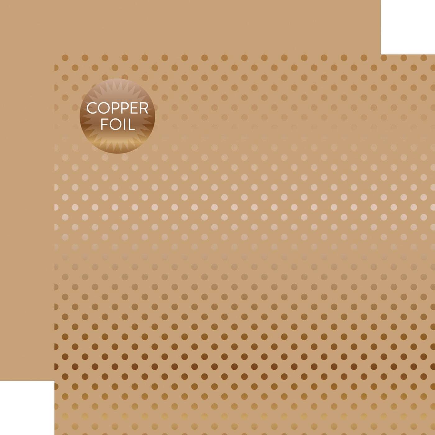 Copper foil dots on tan 12x12 cardstock, plain tan reverse, from Dots & Stripes Collection by Echo Park Paper.