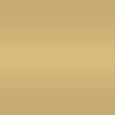 GOLD Matte Foil Board - 12x12 Foil Cardstock - Encore