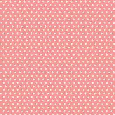 IT'S A GIRL - 12x12 Double-Sided Patterned Paper - Echo Park