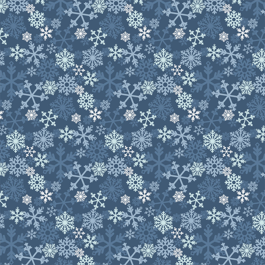 FEELING FROSTY - 12x12 Double-Sided Patterned Paper - Echo Park