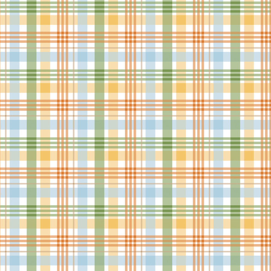 PEEK-A-BOO PLAID - 12x12 Double-Sided Patterned Paper - Echo Park