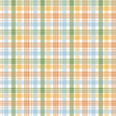 PEEK-A-BOO PLAID - 12x12 Double-Sided Patterned Paper - Echo Park