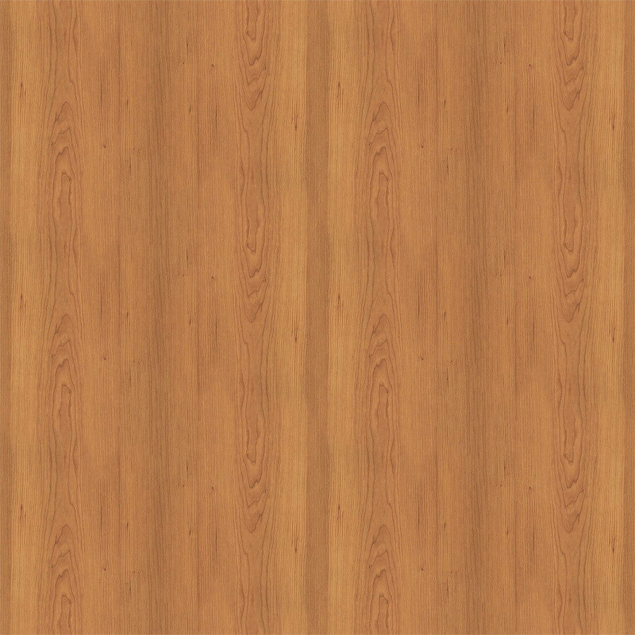 BROWN WOOD GRAIN - 12x12 Double-Sided Patterned Paper - Echo Park