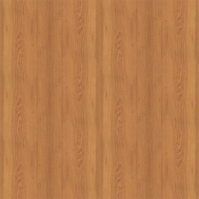 BROWN WOOD GRAIN - 12x12 Double-Sided Patterned Paper - Echo Park