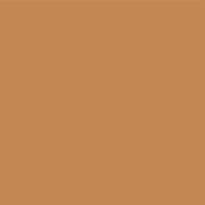 BROWN WOOD GRAIN - 12x12 Double-Sided Patterned Paper - Echo Park