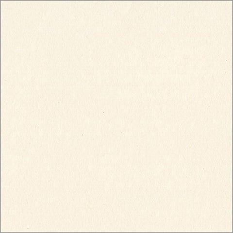 Florence • Cardstock Paper 216g Smooth 12x12 Ivory 20x