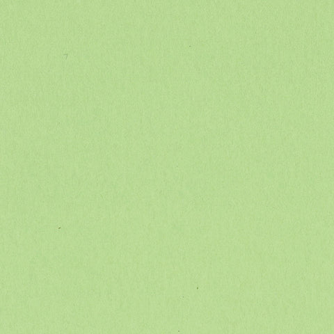 Aloe Vera - 12x12 Light Green Cardstock by Bazzill - 80 lb Paper Single