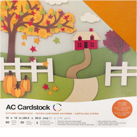 American Crafts Precision Cardstock Pack 80lb 12X12 60/Pkg-Black/Textured -  718813541329