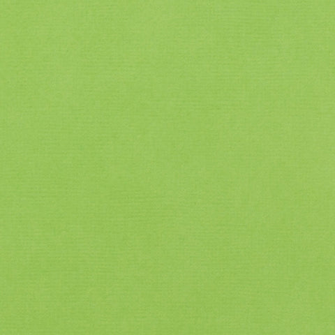 SPEARMINT – 12x12 Green Cardstock AC 80 lb Textured Scrapbook
