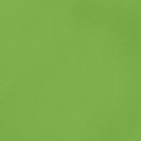 Burano LIGHT GREEN (54) - 12X12 Lightweight Cardstock Paper - 52lb Cover (1